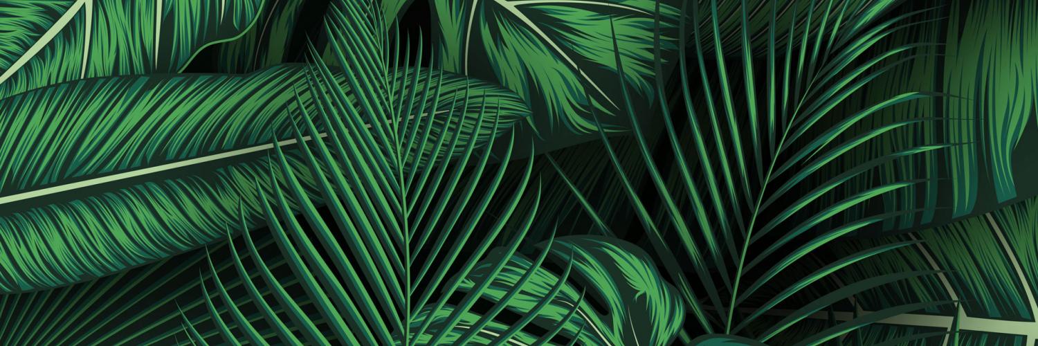 Jungle